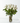 long stem white rose bouquet